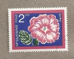 Stamps Bulgaria -  Petunia