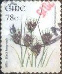 Sellos de Europa - Irlanda -  Scott#1729 intercambio, 2,25 usd, 78 c. 2007