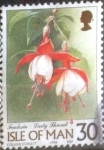 Stamps : Europe : Isle_of_Man :  Scott#801 intercambio, 1,25 usd, 30 p. 1998