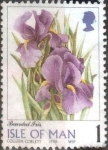 Stamps : Europe : Isle_of_Man :  Scott#794 cr4f intercambio, 0,20 usd, 1 p. 1998
