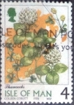 Stamps : Europe : Isle_of_Man :  Scott#766 cr4f intercambio, 0,20 usd, 4 p. 1998