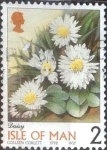 Stamps Isle of Man -  Scott#795 mxb intercambio, 0,20 usd, 2 p. 1998