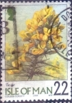 Stamps Isle of Man -  Scott#799 intercambio, 0,85 usd, 22 p. 1999