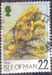 Stamps Isle of Man -  Scott#799 intercambio, 0,85 usd, 22 p. 1999