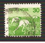 Stamps India -  INTERCAMBIO