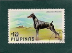 Sellos de Asia - Filipinas -  Dobermann Pinscher