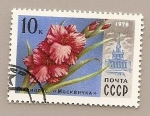 Stamps Russia -  flores - Gladiolo