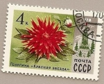 Stamps Russia -  Flores - Dalia Roja