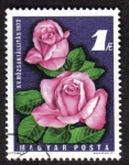 Stamps Hungary -  15ª exposición de rosas, Budapest