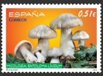 Sellos de Europa - Espaa -  Edifil 4740