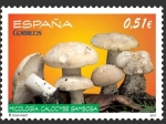 Stamps Spain -  Edifil 4742