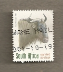Stamps Africa - South Africa -  Ñu