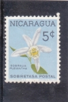 Sellos de America - Nicaragua -  FLORES- sobralia