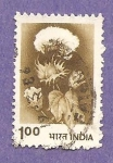 Stamps India -  INTERCAMBIO