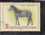 Stamps : Europe : Bulgaria :  CABALLO