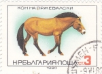 Stamps Bulgaria -  CABALLO