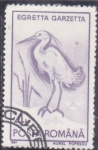 Sellos de Europa - Rumania -  AVE- GARZA