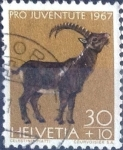 Sellos de Europa - Suiza -  Scott#B372 cr4f intercambio, 0,25 usd, 30+10 cents. 1967