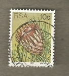 Stamps South Africa -  Conífera Protea