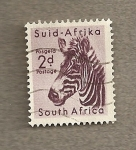 Sellos de Africa - Sud�frica -  Cebra