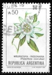 Stamps Argentina -  Argentina-cambio