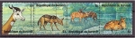 Stamps : Africa : Burundi :  serie- Animales africanos