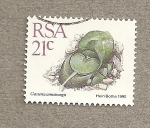 Stamps South Africa -  Gasteria