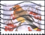 Stamps United States -  Scott#xxxx cr5f intercambio, 0,25 usd, forever. 2016