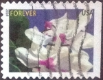 Stamps United States -  Scott#xxxx intercambio, 0,25 usd, forever. 2014