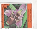 Stamps Bulgaria -  FLORES- 