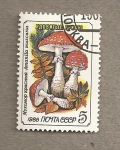 Stamps Russia -  Seta: Amanita muscaria