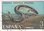 Sellos de Europa - Espaa -  ANGUILA (33)
