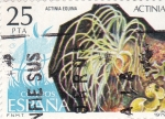 Stamps Spain -  ACTINIA  EQUINA (33)