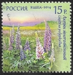 Stamps Russia -  7475 - Flor lupinus polyphyllus