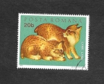 Stamps Romania -  2315 - Linces (Linx Linx)