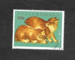 Sellos del Mundo : Europa : Rumania : 2315 - Linces (Linx Linx)