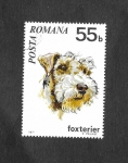 Stamps Romania -  2229 - Foxterier