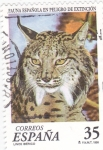 Stamps : Europe : Spain :  LINCE IBERICO (33)