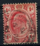Stamps Africa - South Africa -  TRANSVAAL_SCOTT 282 $0.2