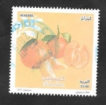 Stamps Algeria -  Clementinas