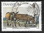 Sellos de Africa - Sud�frica -  Transkei - ganado