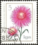 Stamps Germany -  Summer aster (GDR)
