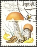 Stamps Germany -  Rotkappe (Leccinum testaceo scabrum) (GDR)