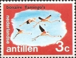 Stamps America - Netherlands Antilles -  American Flamingo (Phoenicopterus ruber), Bonaire