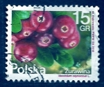 Stamps : Europe : Poland :  Frutos