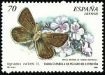 Sellos de Europa - Espaa -  Fauna Española en Peligro - Mariposa2