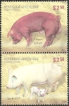 Stamps Argentina -  Pig Breeds