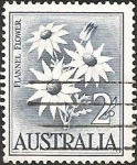 Stamps Australia -  Flannel Flower