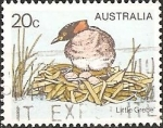Stamps : Oceania : Australia :  Little Grebe (Tachybaptus ruficollis)