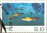 Stamps : Oceania : Australia :  Underwater Fauna